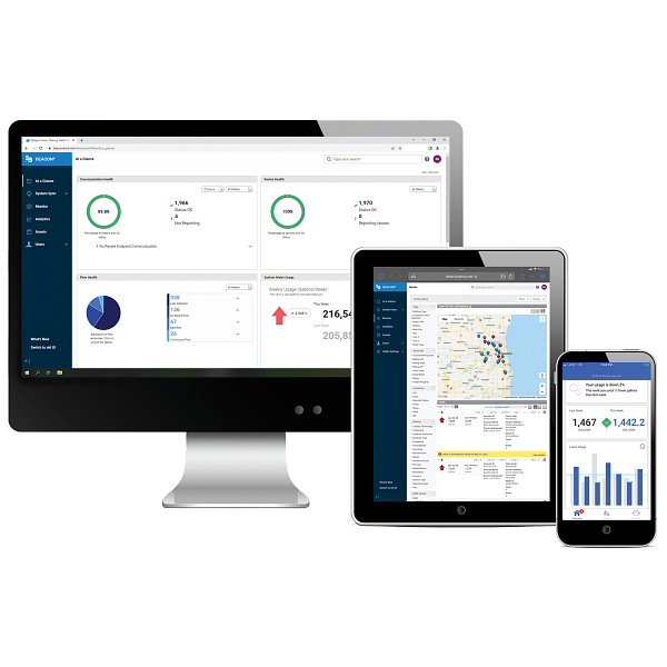 Software as a Service (SaaS)