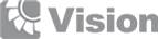 Vision